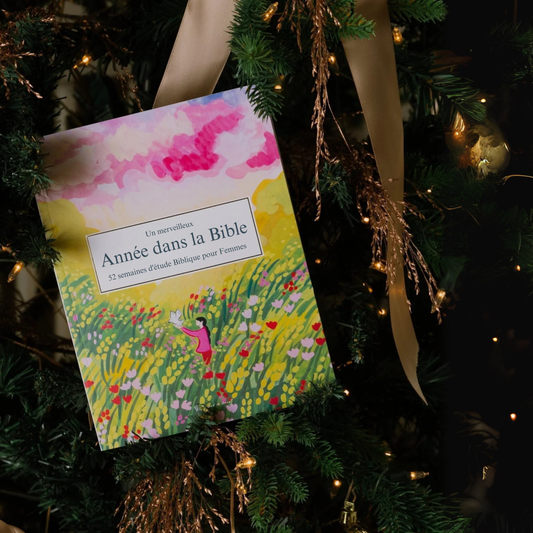 Un Merveilleuse Année d'Étude de la Bible
