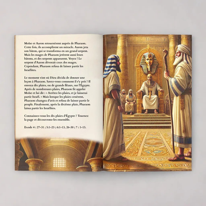 eBook Merveilleuses histoires de la Bible: de la Création à la Libération