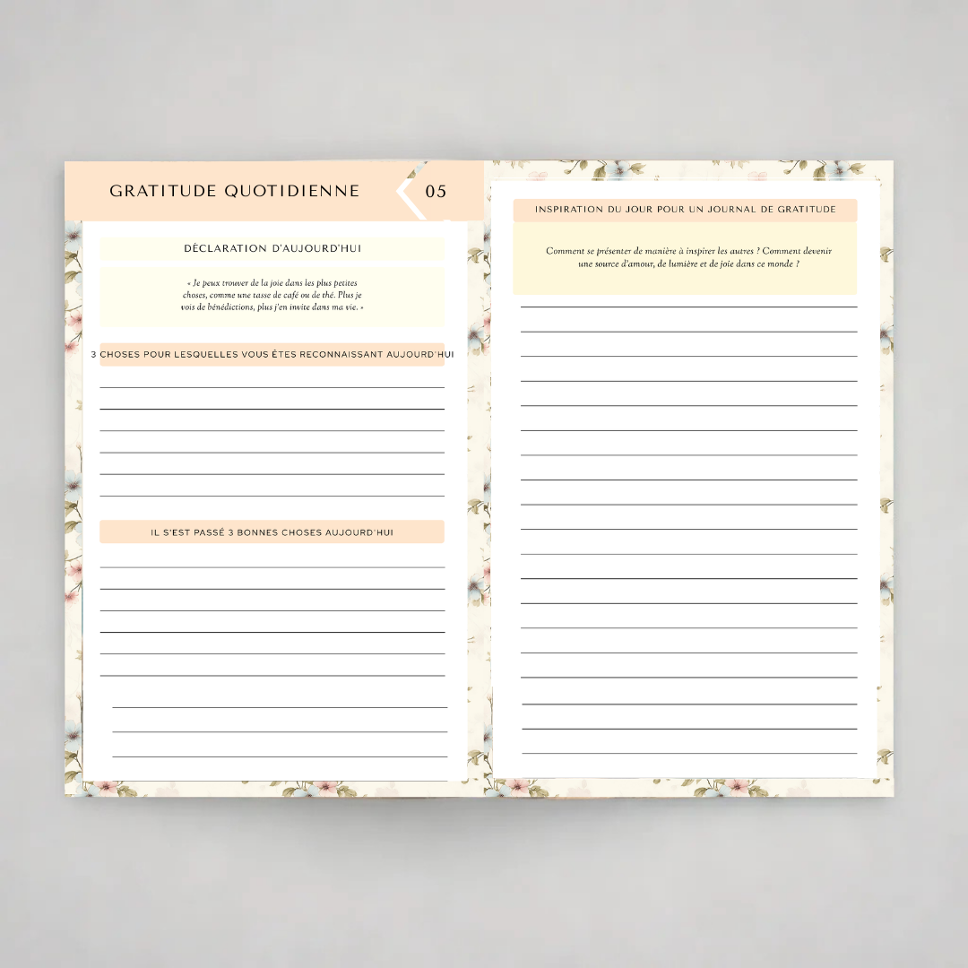 eBook Merveilleux Journal de Gratitude