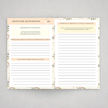 eBook Merveilleux Journal de Gratitude