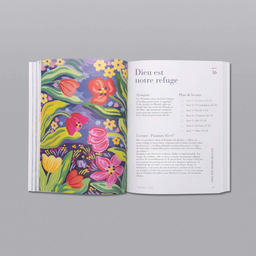 Un Merveilleuse Année d'Étude de la Bible